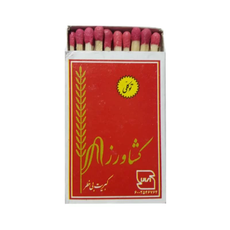 محمدتقی توکلی و توسعه صنعتی در ایران